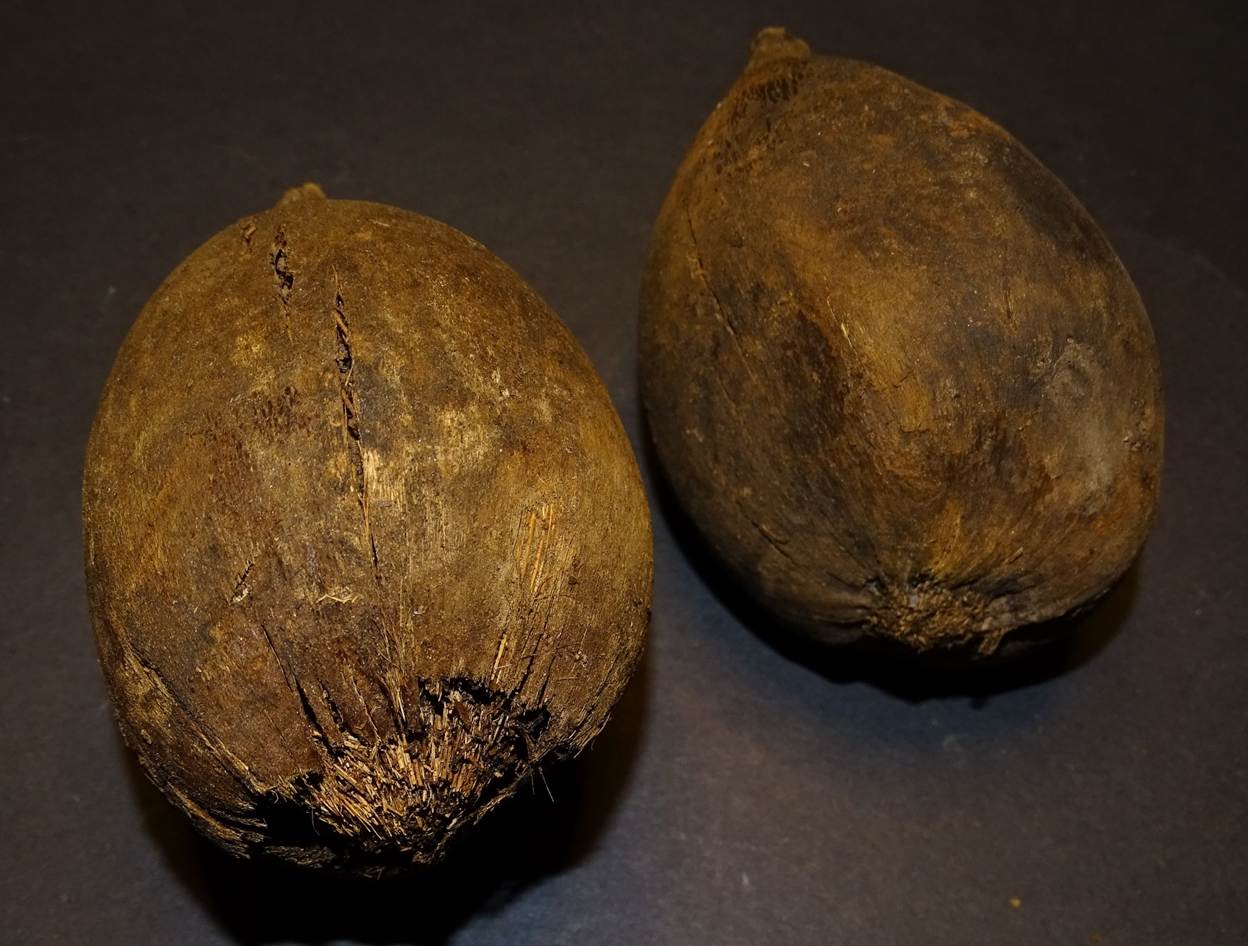 Ein Bild, das Stein, Im Haus enth�lt.

Automatisch generierte Beschreibung