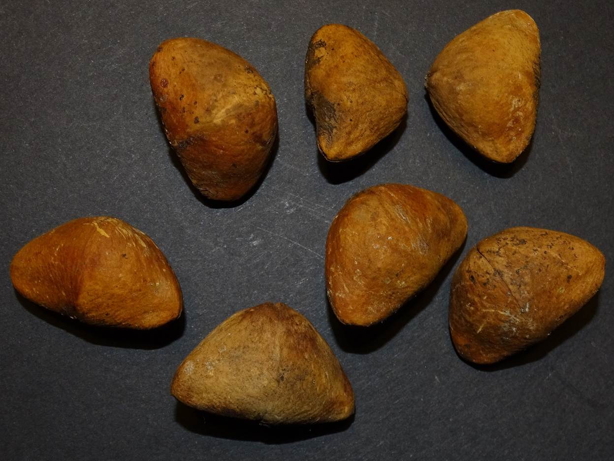 Ein Bild, das Essen, Snack, Im Haus enth�lt.

Automatisch generierte Beschreibung