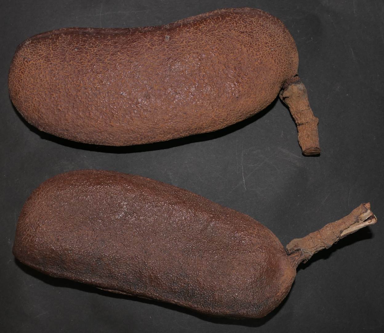 Ein Bild, das Essen, Im Haus, Tamarinde enth�lt.

Automatisch generierte Beschreibung