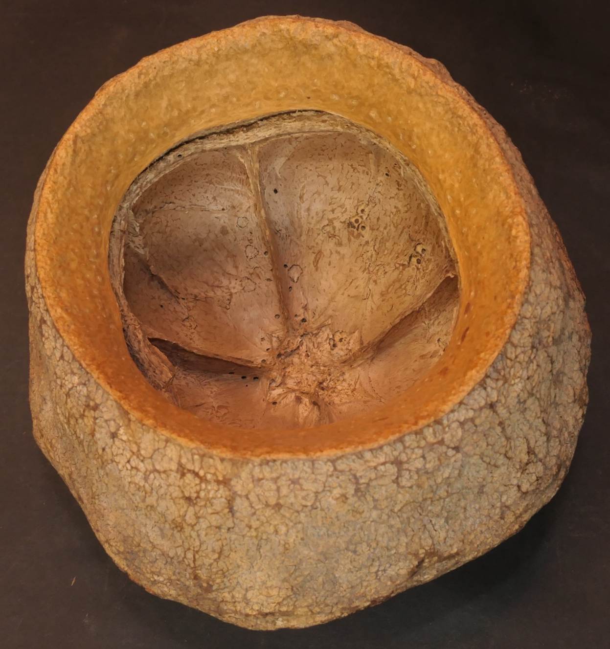 Ein Bild, das Artefakt, Stein, rund, Im Haus enth�lt.

Automatisch generierte Beschreibung