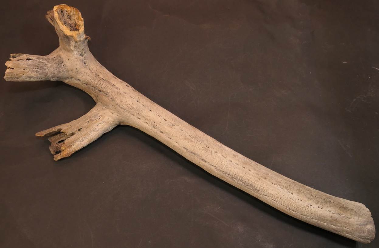 Ein Bild, das Im Haus enth�lt.

Automatisch generierte Beschreibung