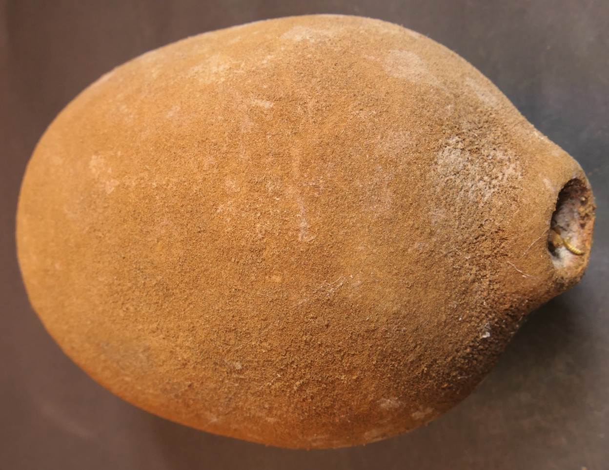 Ein Bild, das Essen, Frucht enth�lt.

Automatisch generierte Beschreibung