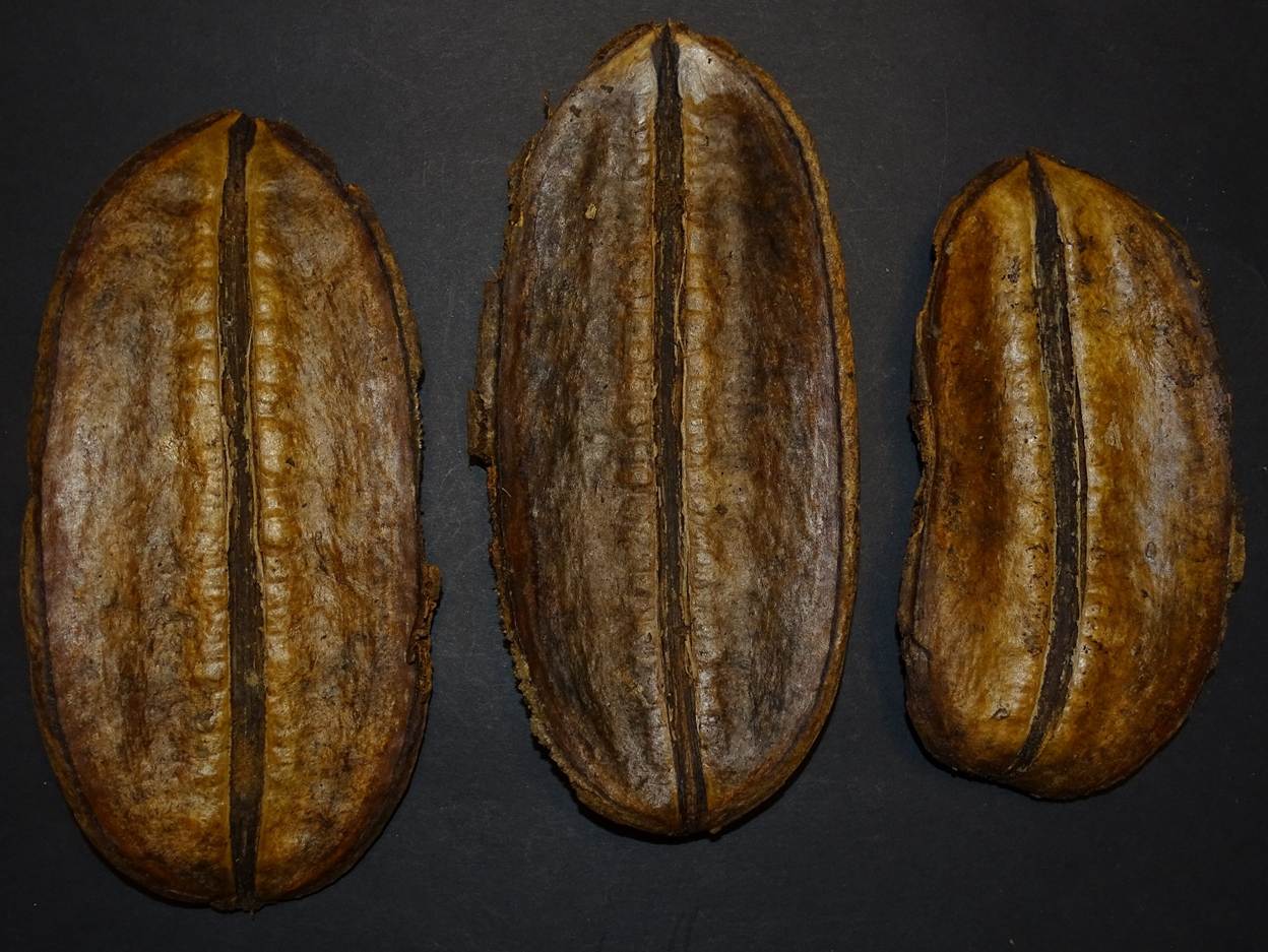 Ein Bild, das Essen, Im Haus enth�lt.

Automatisch generierte Beschreibung