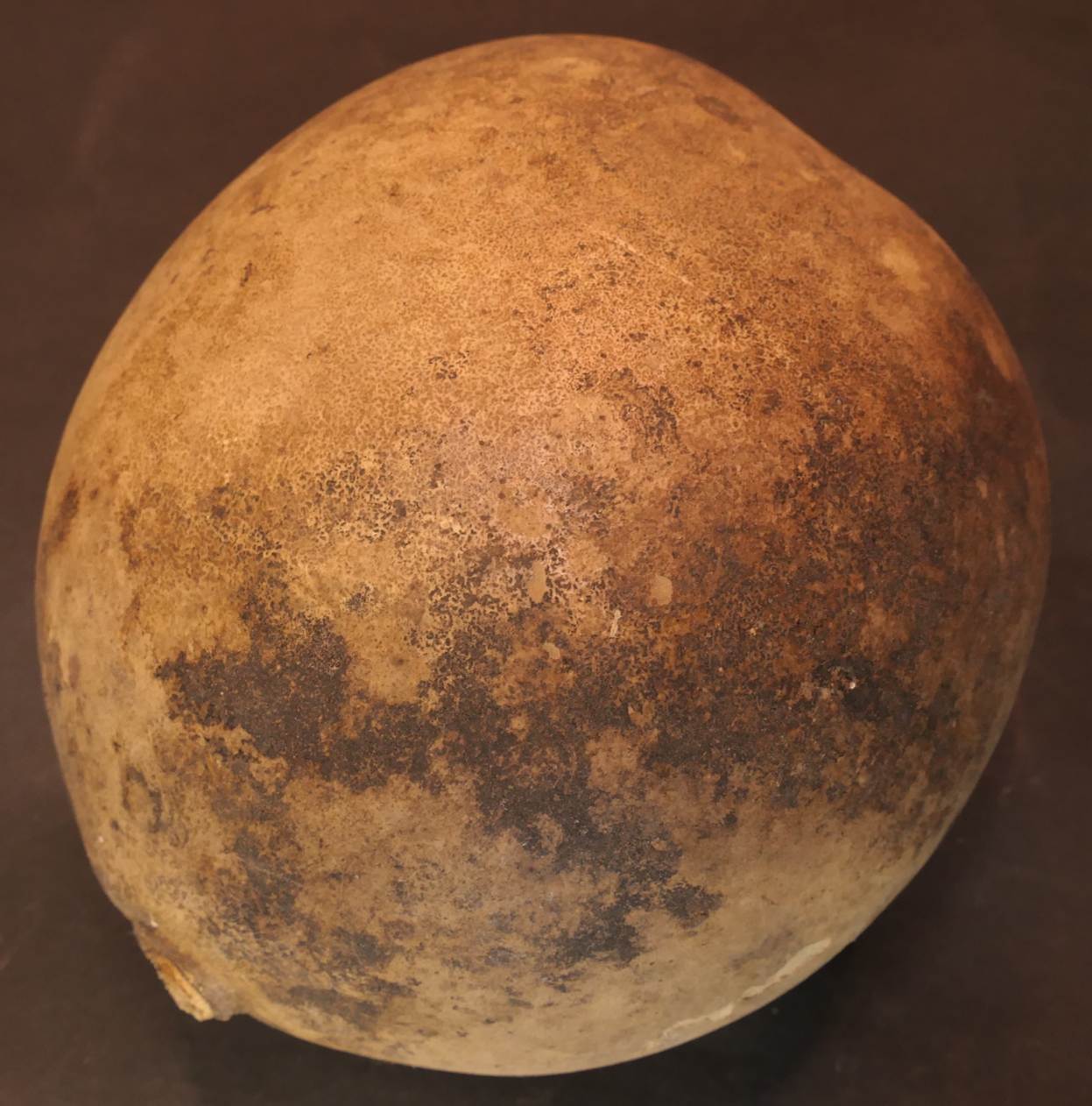 Ein Bild, das Kugel, Mond enthält.
Automatisch generierte Beschreibung