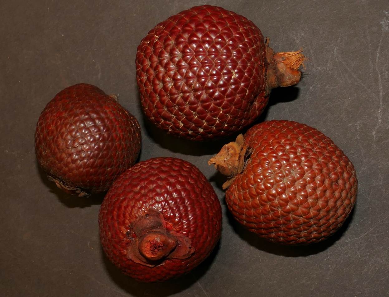 Ein Bild, das Frucht, Essen, Naturkost, rot enthält.
Automatisch generierte Beschreibung