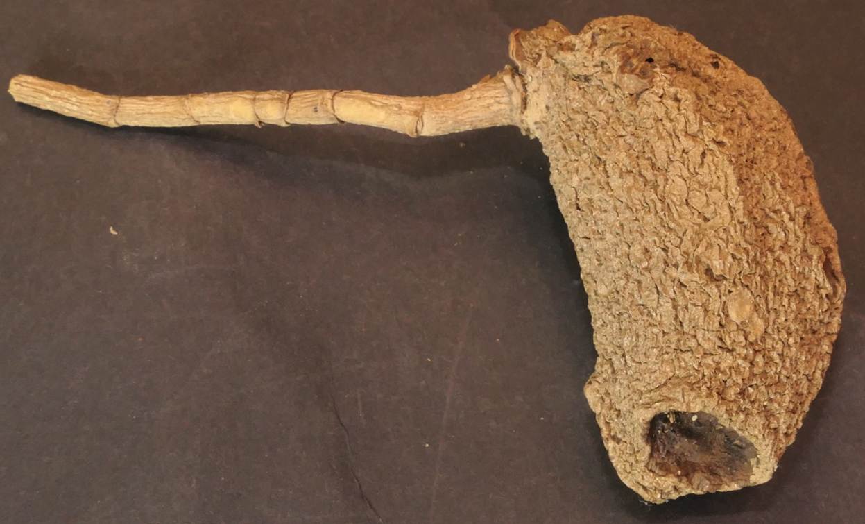 Ein Bild, das Im Haus, Löffel, prähistorisch enthält.
Automatisch generierte Beschreibung mit mittlerer Zuverlässigkeit