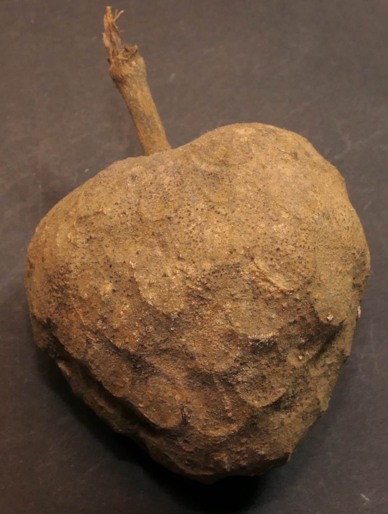 Ein Bild, das Stein enthält.
Automatisch generierte Beschreibung