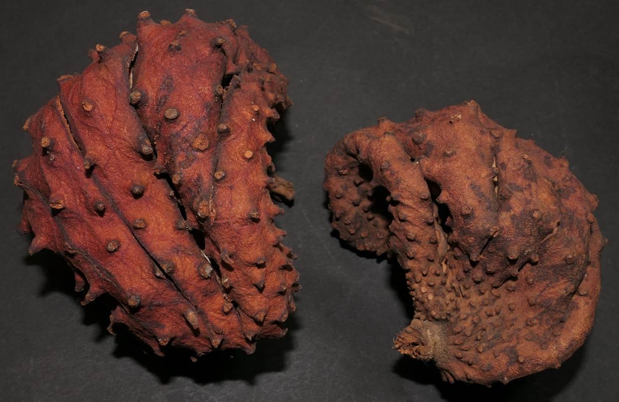 Ein Bild, das Essen, Snack enthält.
Automatisch generierte Beschreibung