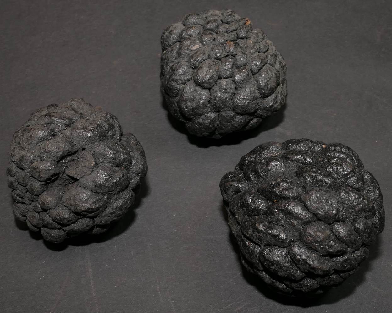 Ein Bild, das Frucht, Essen, Cherimoya enthält.
Automatisch generierte Beschreibung