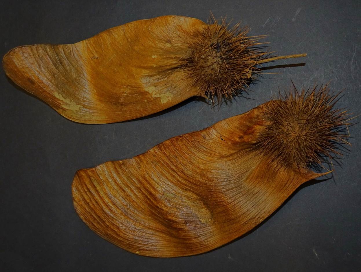 Ein Bild, das Im Haus enthält.
Automatisch generierte Beschreibung mit mittlerer Zuverlässigkeit