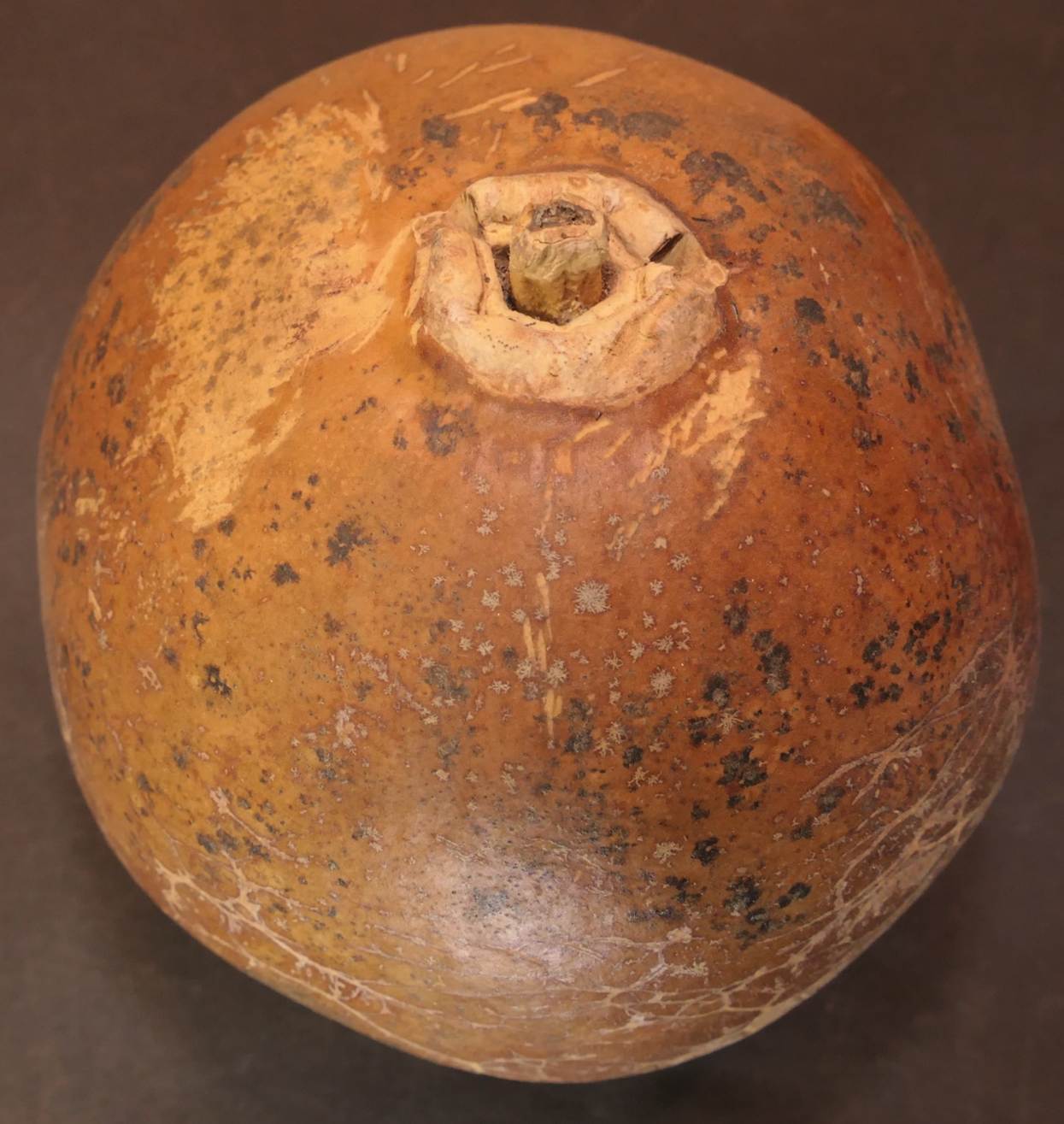 Ein Bild, das Stilllebenfotografie, Töpferei, Stillleben, Keramik enthält.
Automatisch generierte Beschreibung