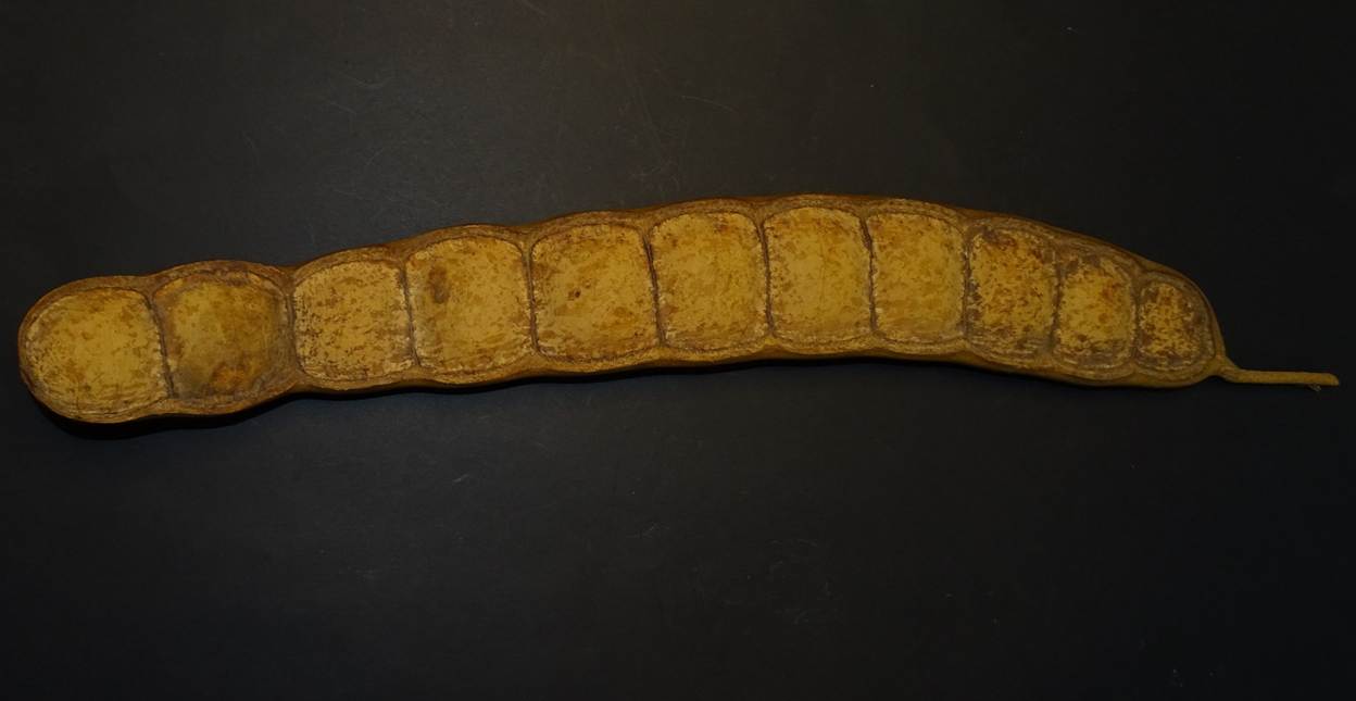 Ein Bild, das Essen, Im Haus, Tamarinde enthält.
Automatisch generierte Beschreibung