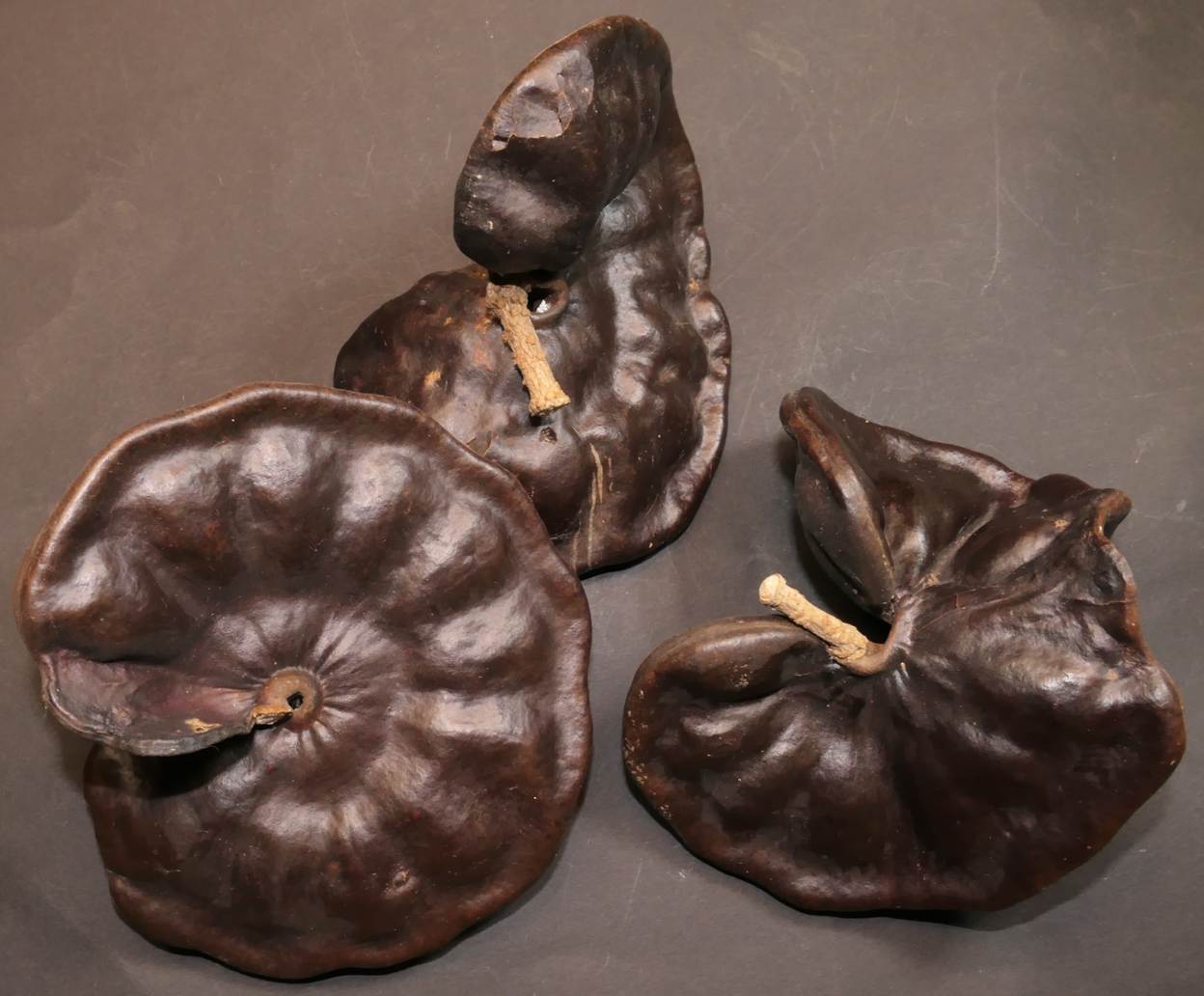 Ein Bild, das Im Haus, Sitzen, Schokolade enthält.
Automatisch generierte Beschreibung