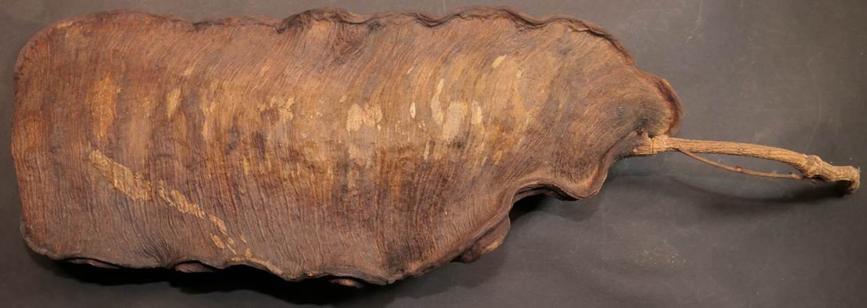 Ein Bild, das Im Haus, Kunst, Trilobit, Kupfer enthält.
Automatisch generierte Beschreibung