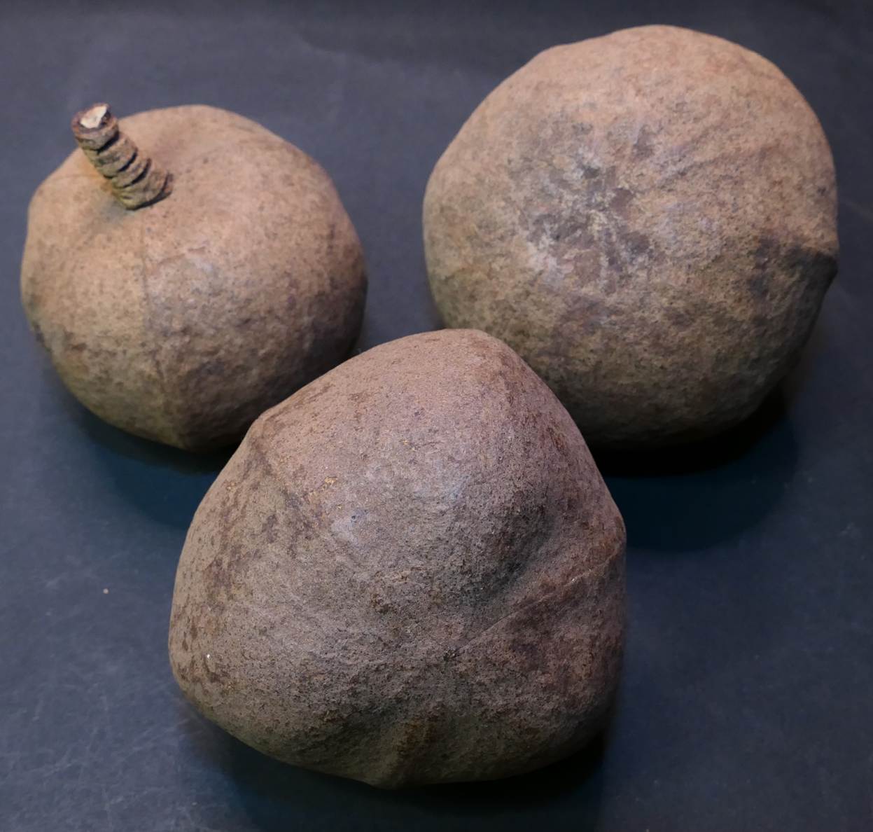 Ein Bild, das Essen, Verderb von Lebensmitteln, Stein, Frucht enthält.
Automatisch generierte Beschreibung