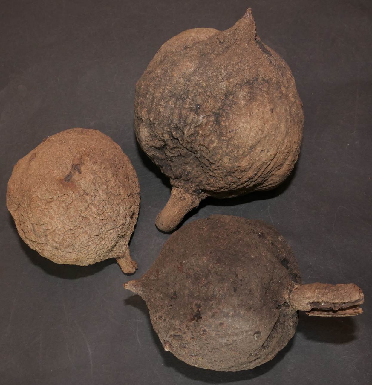 Ein Bild, das Im Haus enthält.
Automatisch generierte Beschreibung