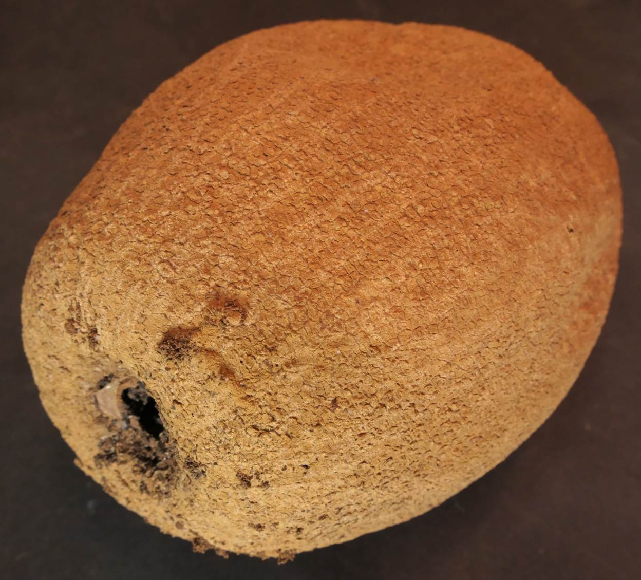 Ein Bild, das Essen enthält.
Automatisch generierte Beschreibung