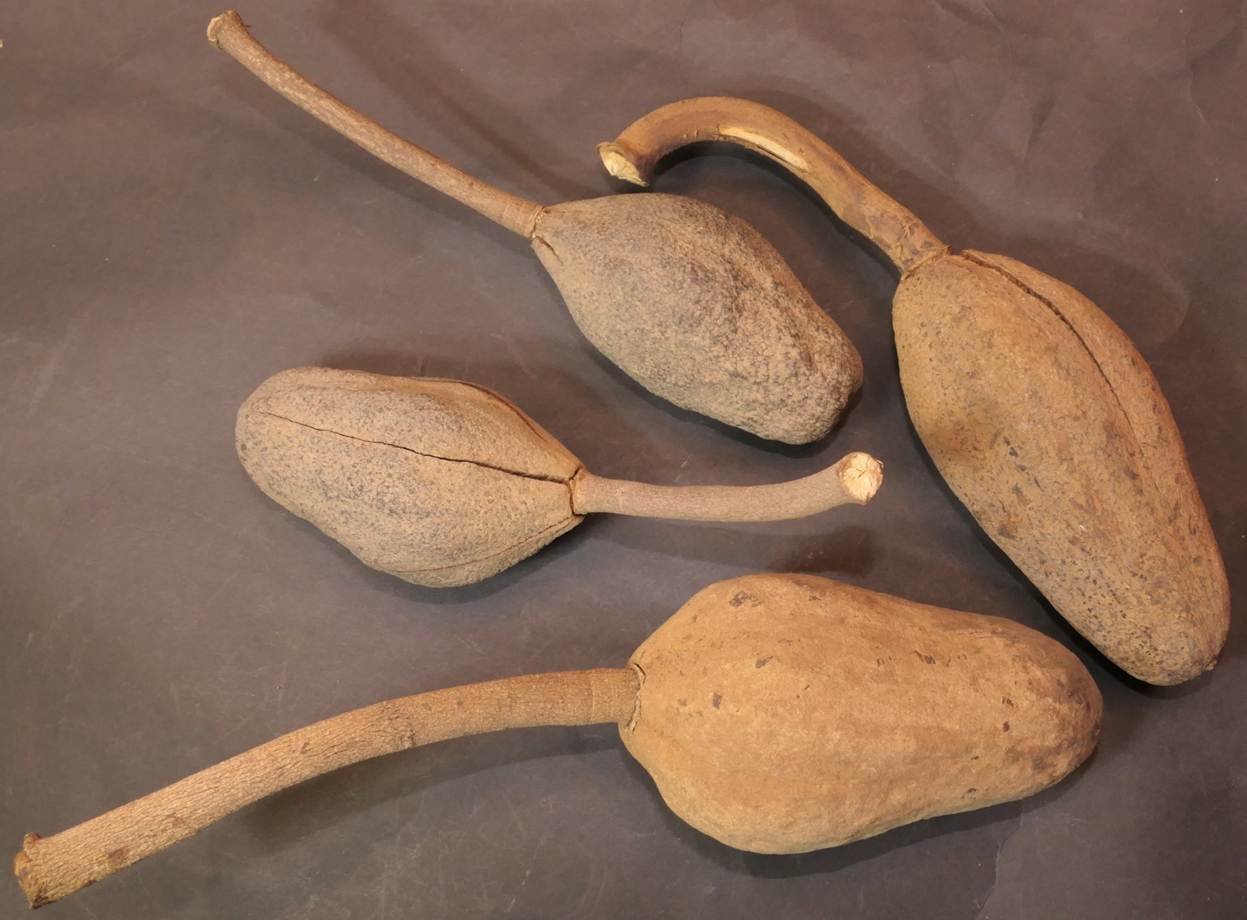 Ein Bild, das Löffel, Küchenutensil, Geschirr, Im Haus enthält.
Automatisch generierte Beschreibung