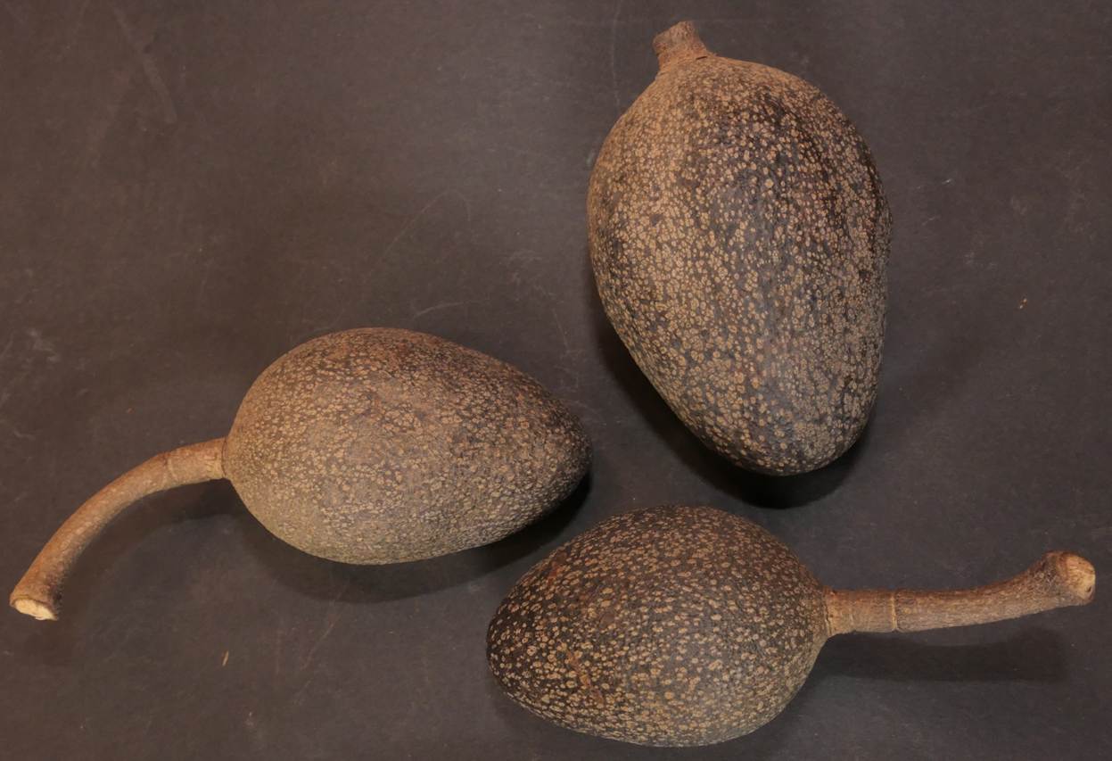 Ein Bild, das Im Haus, Löffel enthält.
Automatisch generierte Beschreibung