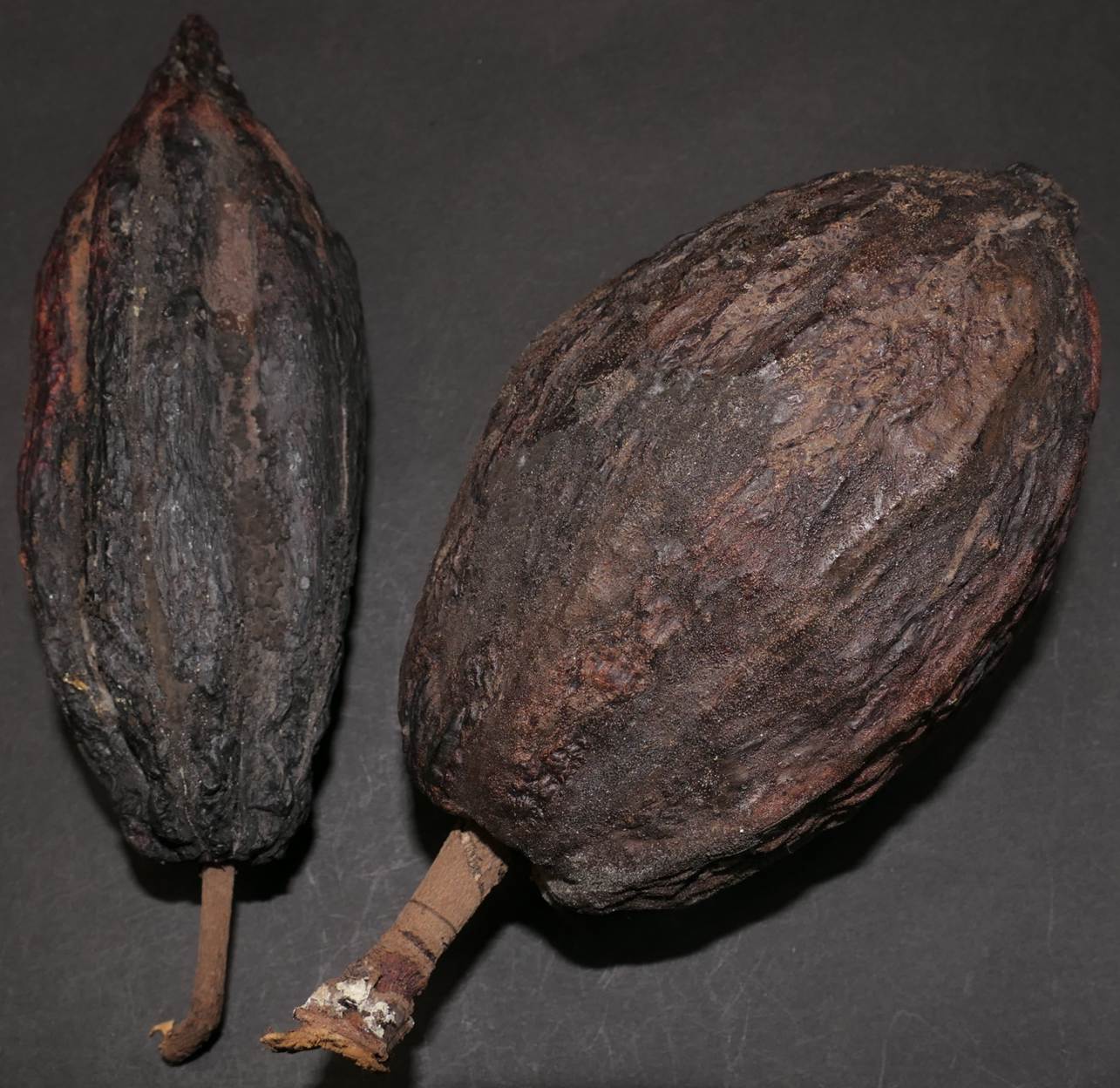 Ein Bild, das Im Haus enthält.
Automatisch generierte Beschreibung