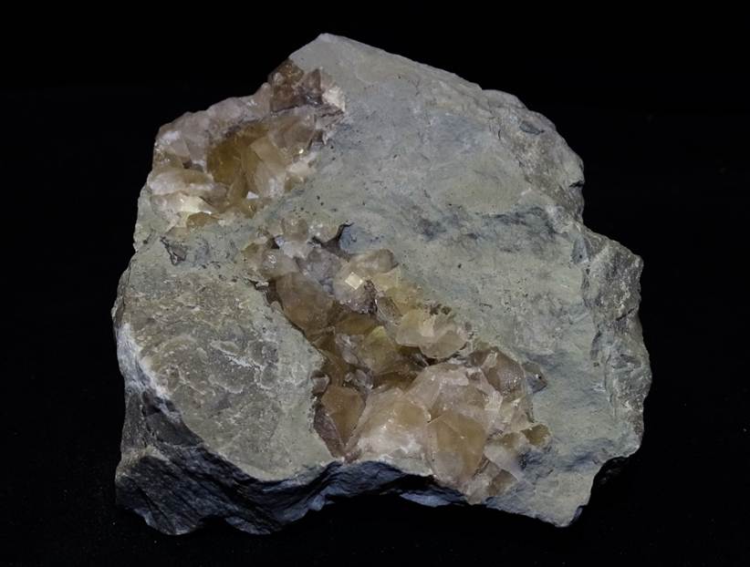 Ein Bild, das Sugetier, Rock enthlt.

Automatisch generierte Beschreibung