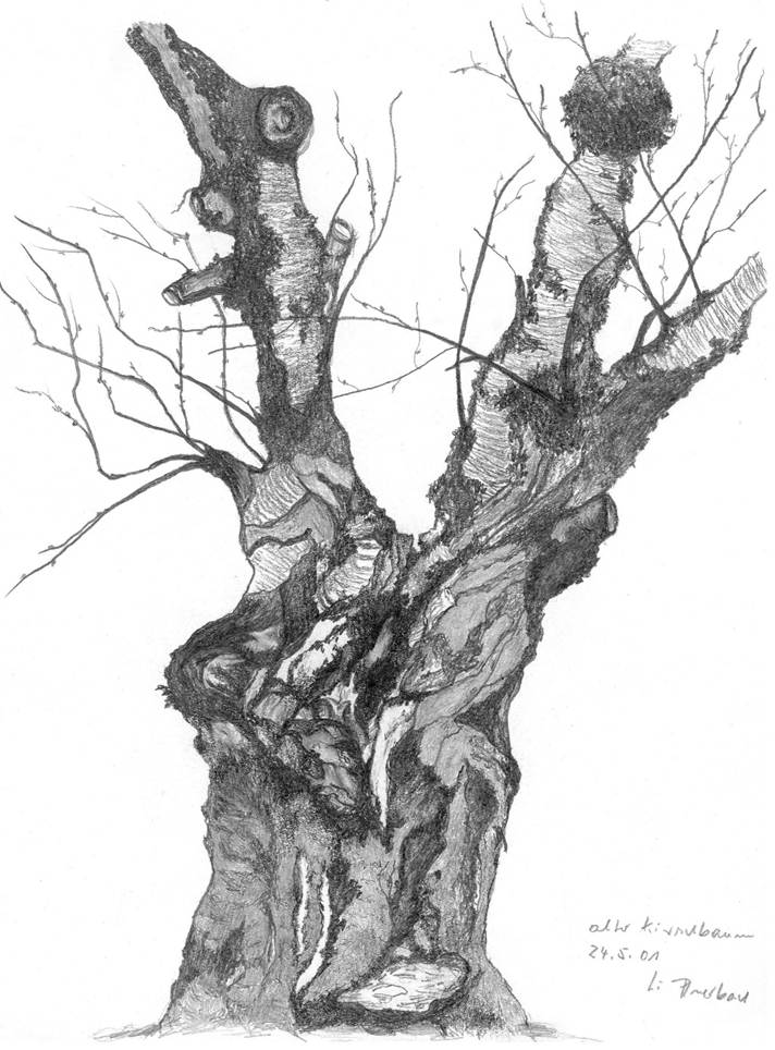Ein Bild, das Entwurf, Zeichnung, Baum, Rüssel Kofferraum enthält.
Automatisch generierte Beschreibung