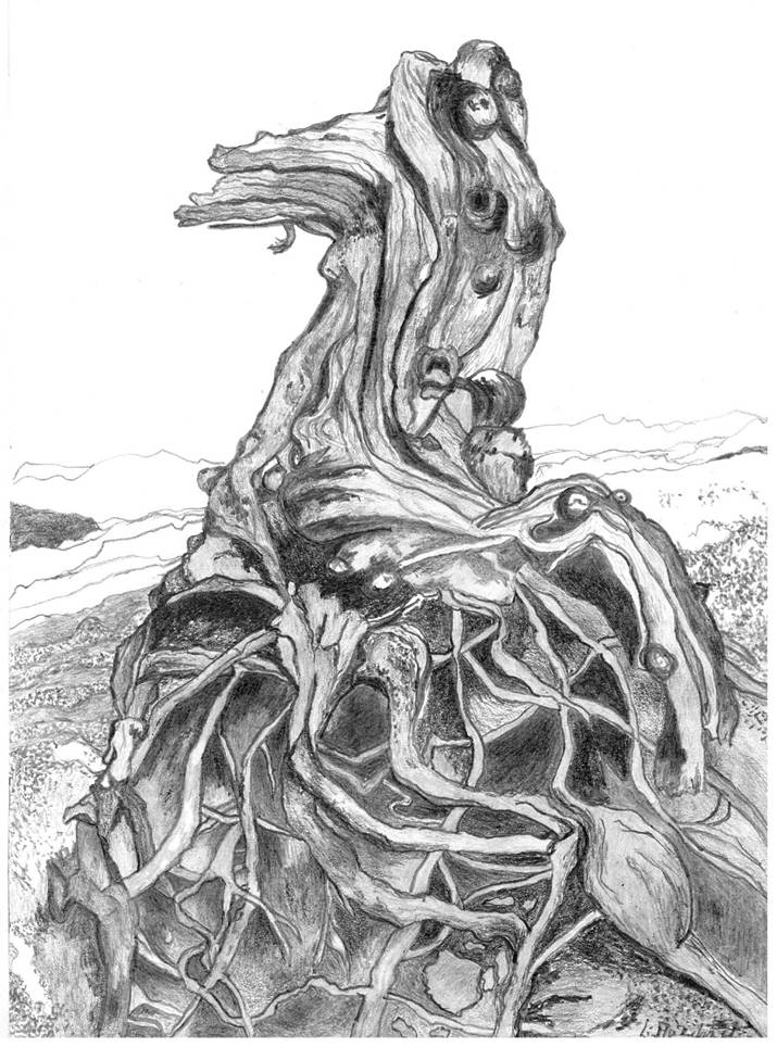 Ein Bild, das Entwurf, Lineart, Darstellung, Kunst enthält.
Automatisch generierte Beschreibung