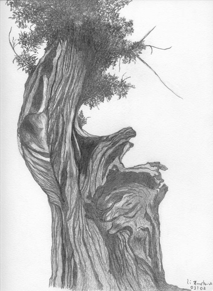 Ein Bild, das Entwurf, Baum, Kunst, Kunststück enthält.
Automatisch generierte Beschreibung