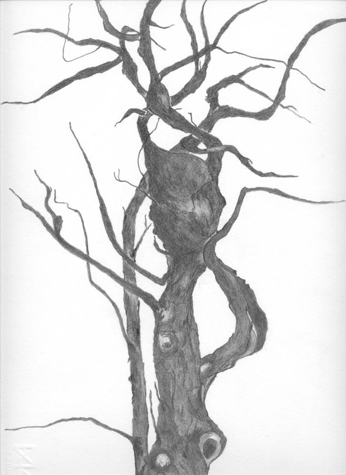Ein Bild, das Entwurf, Kunst, Baum, Bild enthält.
Automatisch generierte Beschreibung