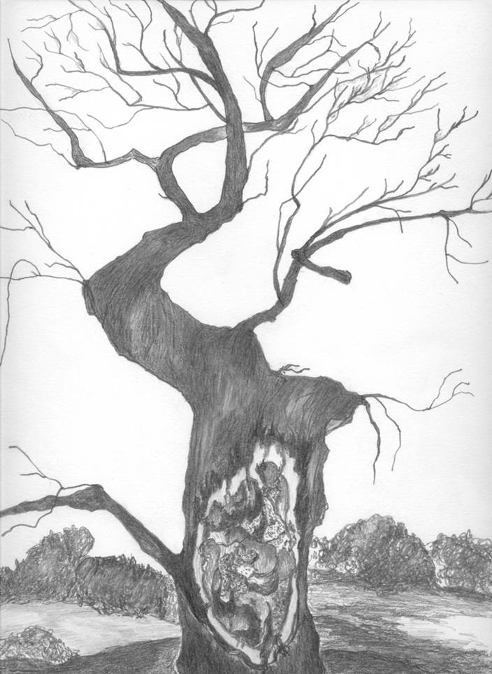 Ein Bild, das Entwurf, Zeichnung, Baum, Bild enthält.
Automatisch generierte Beschreibung