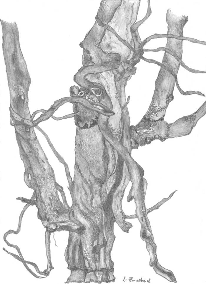 Ein Bild, das Entwurf, Kunst, Lineart, Darstellung enthält.
Automatisch generierte Beschreibung