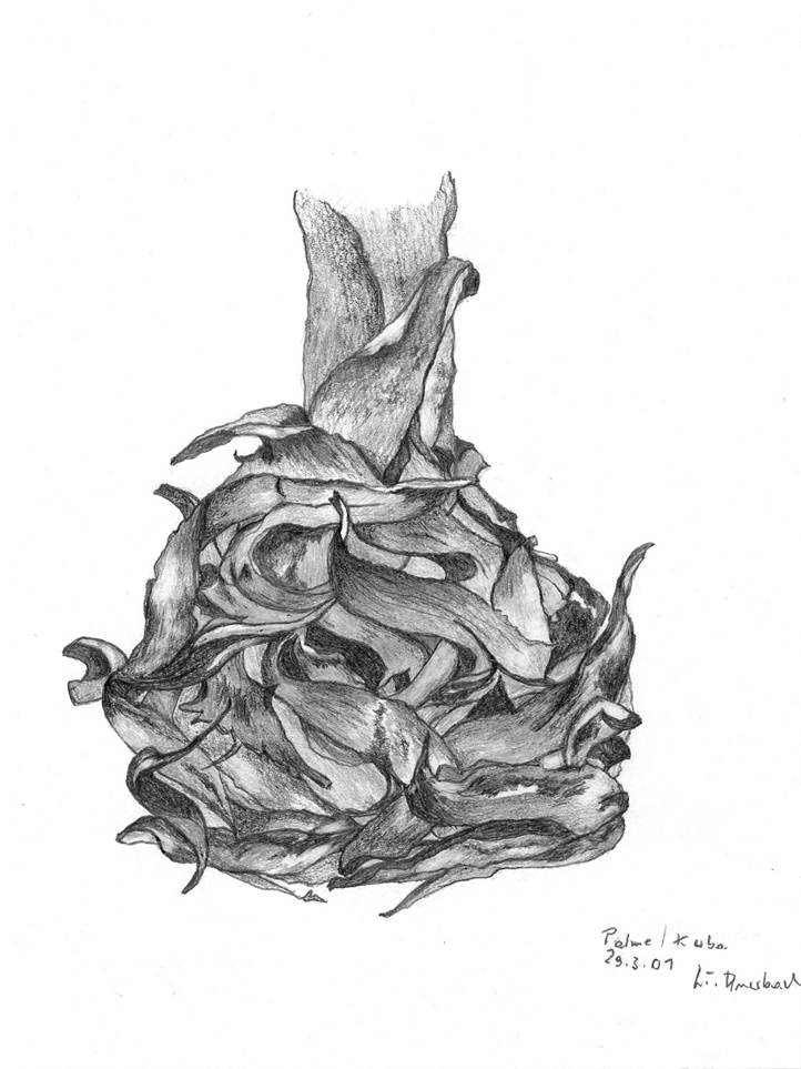 Ein Bild, das Entwurf, Kunst, Lineart, Kunststück enthält.
Automatisch generierte Beschreibung