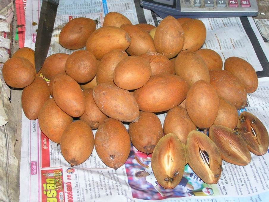 Ein Bild, das Text enth�lt.

Automatisch generierte Beschreibung