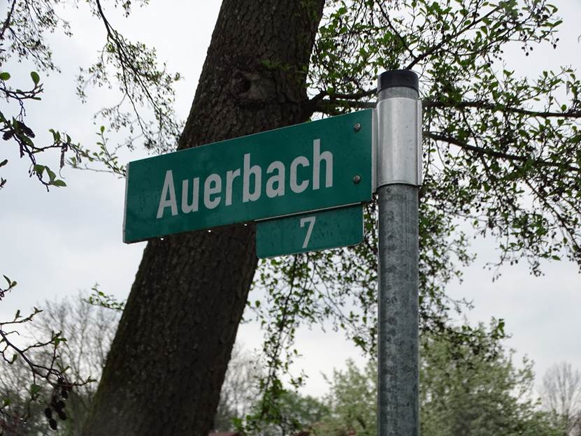 Ein Bild, das Text, Baum, drauen, Schild enthlt.

Automatisch generierte Beschreibung